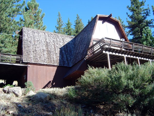 Cabin in the pines