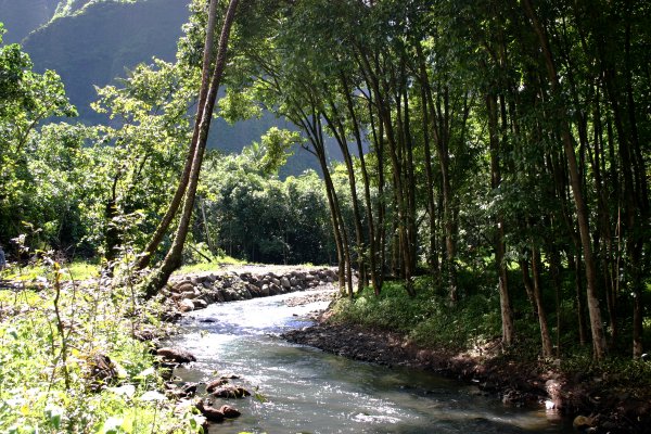 River trail leading up to Vaipo Waterfall