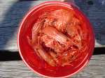 Yummy