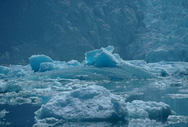 Ice